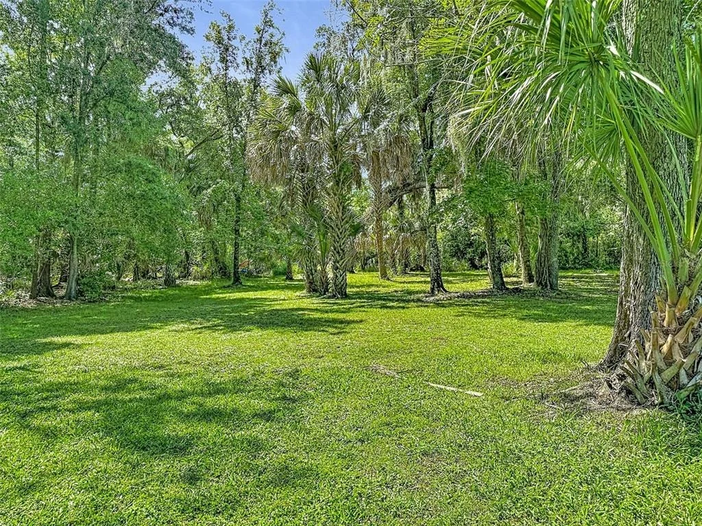 Photo of 273 GRIFFIN ROAD