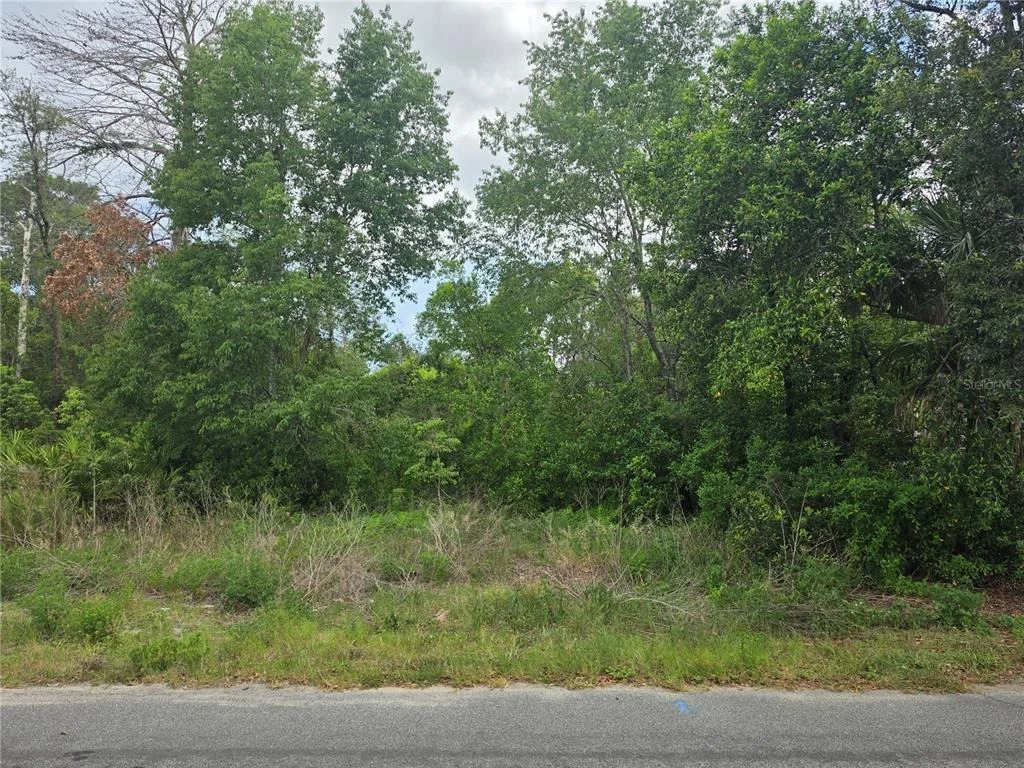 Photo of 3475 EL PRADO AVENUE