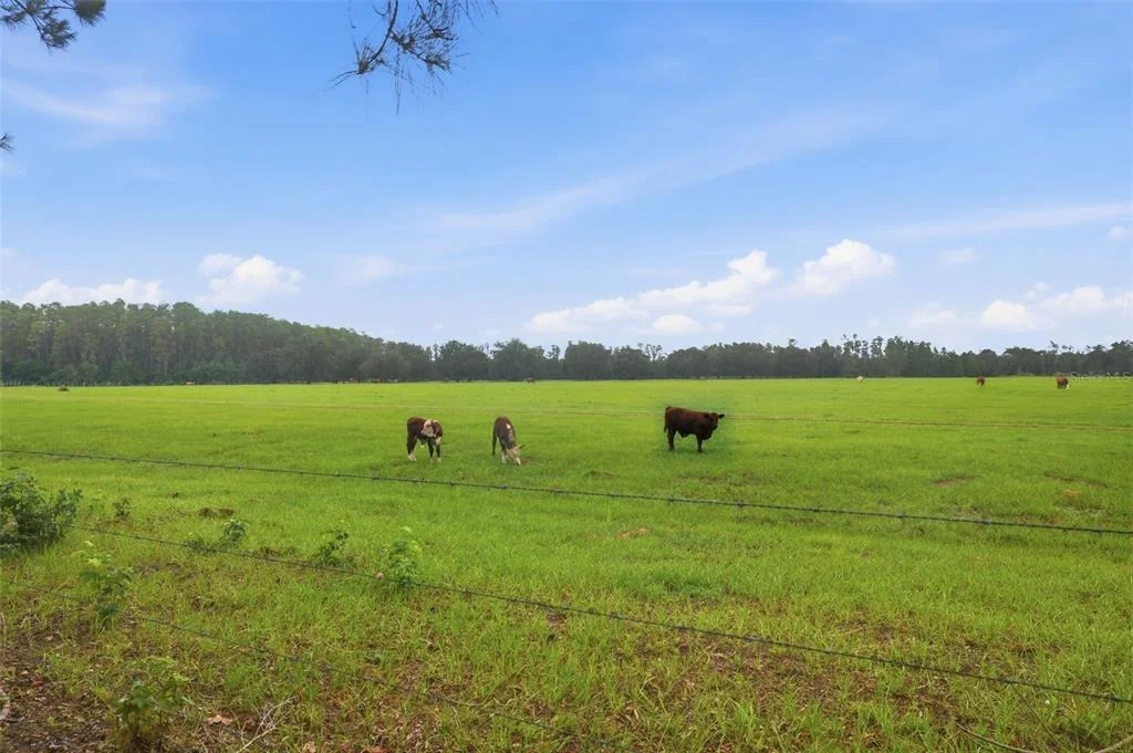 Photo of 2814 MAPLE BROOK LOOP