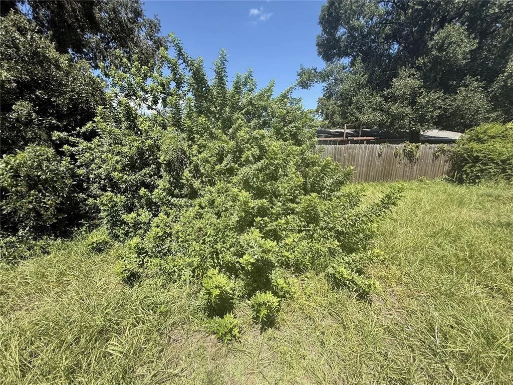 Photo of 3609 CASABA LOOP