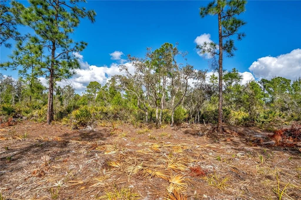 Photo of 4000 LOMONICO ROAD