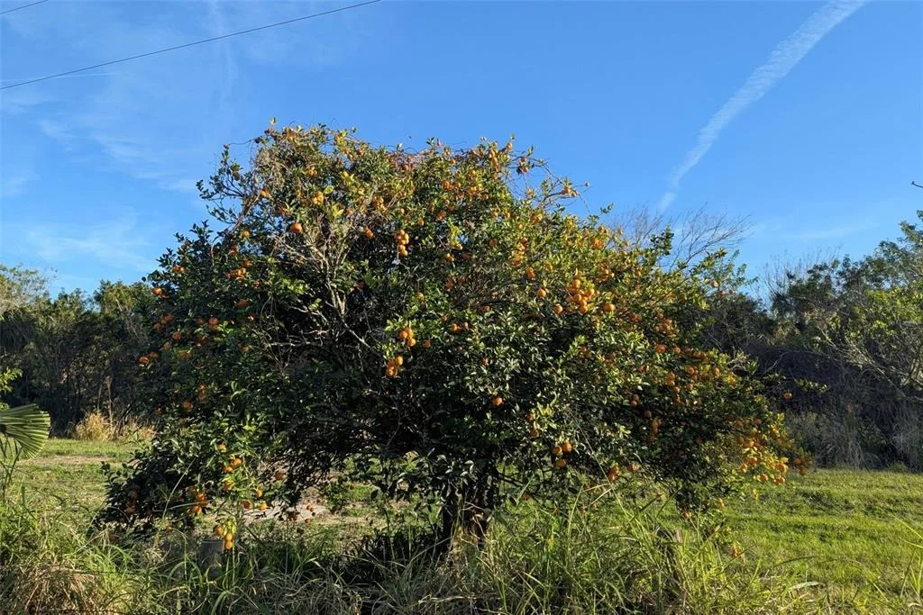 Photo of 0 DAVIS ROAD