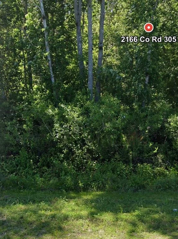 Photo of 2166 CR-305