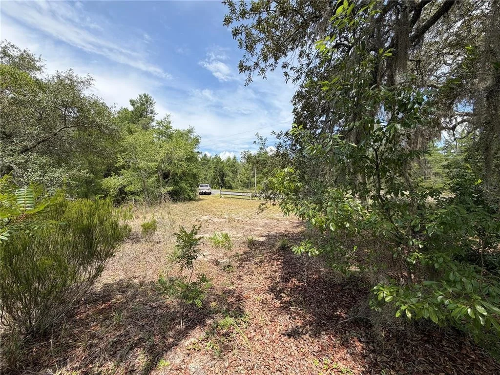 Photo of 9730 NE STATE ROAD 24