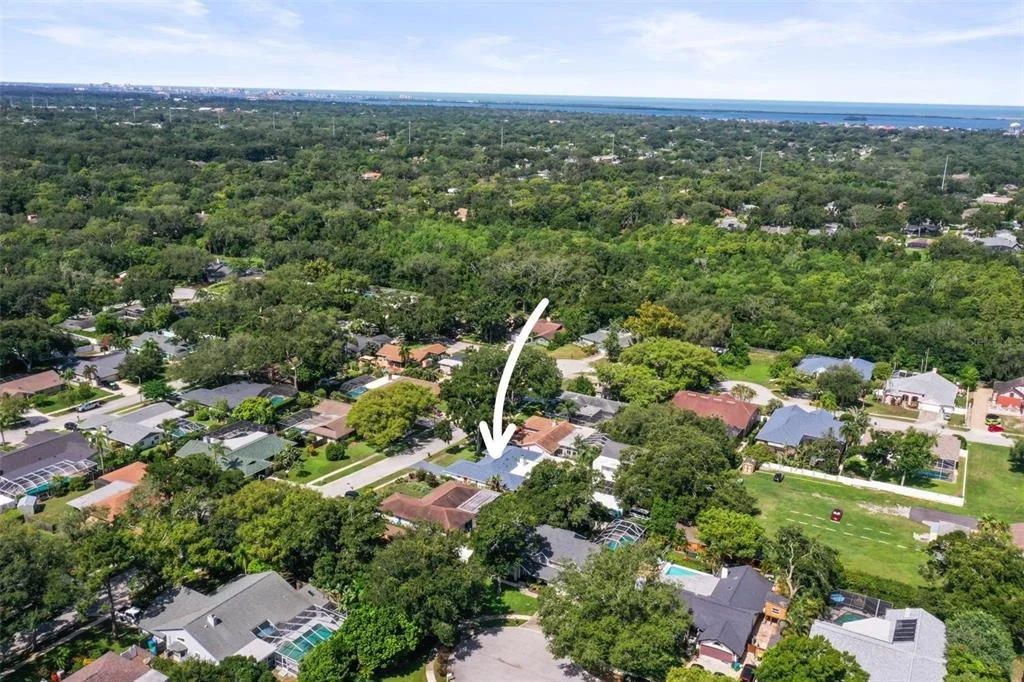 Photo of 1981 CASTILLE DRIVE