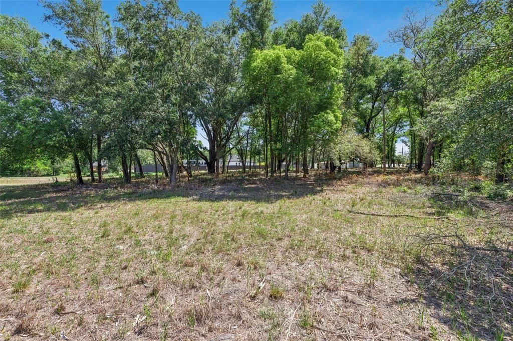 Photo of 3932 WHITE HERON DRIVE