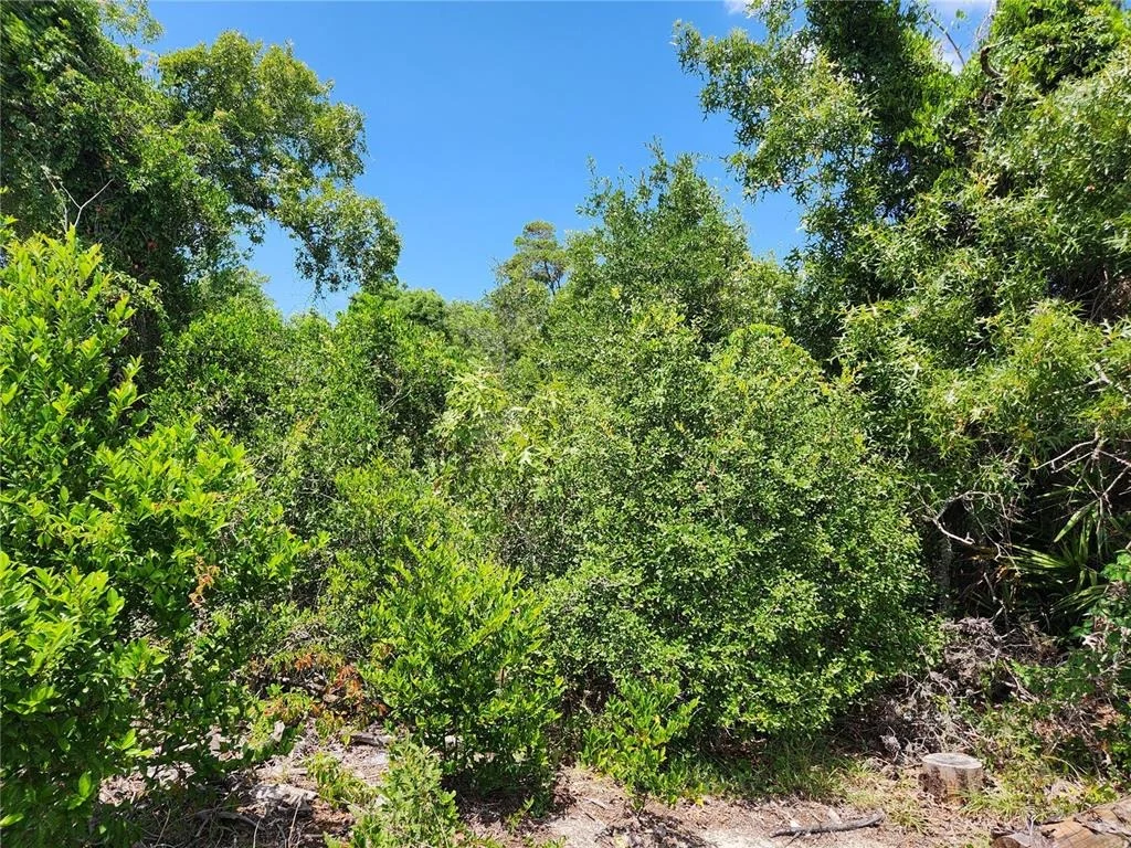 Photo of Unit LOT31 at 6241 MARINER BOULEVARD