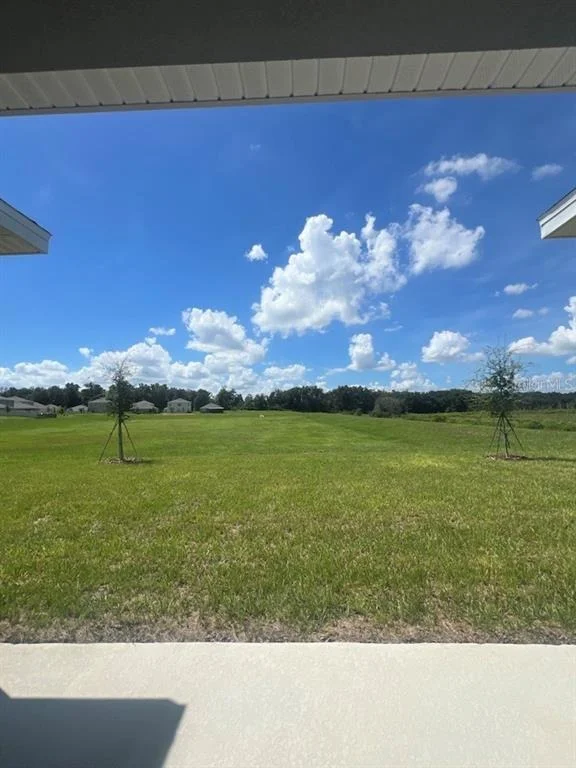 Photo of 2091 ASHWOOD BLUFF DRIVE
