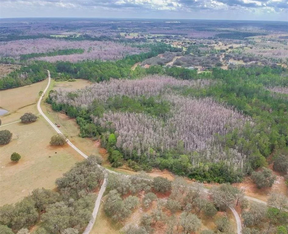 Photo of DUBOISE DRIVE