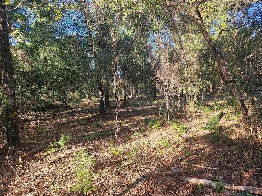 Photo of 4462 & 4484 N WELL VIEW POINT