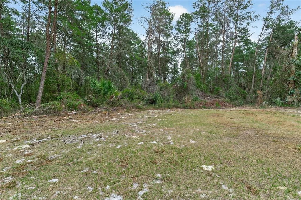 Photo of 117 STODDARD ROAD