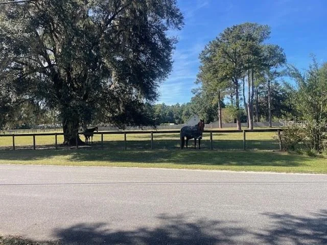 Photo of 22 WINTERGREEN WAY