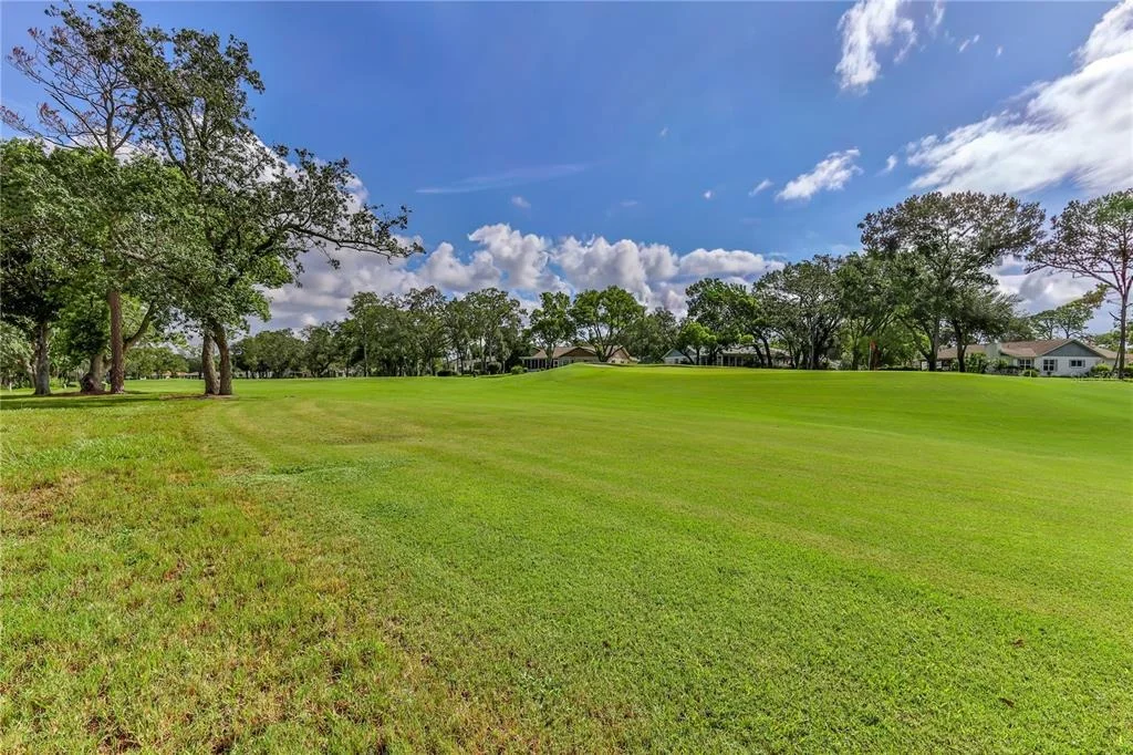 Photo of 2376 BENT PINE COURT