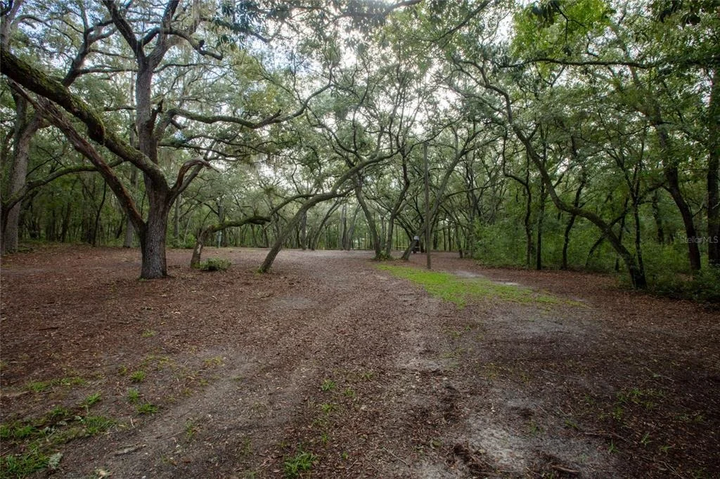 Photo of 5590 JENKINS LOOP DRIVE