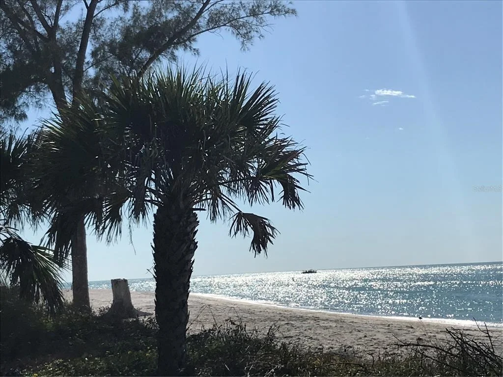 Photo of 7365 PALM ISLAND DRIVE