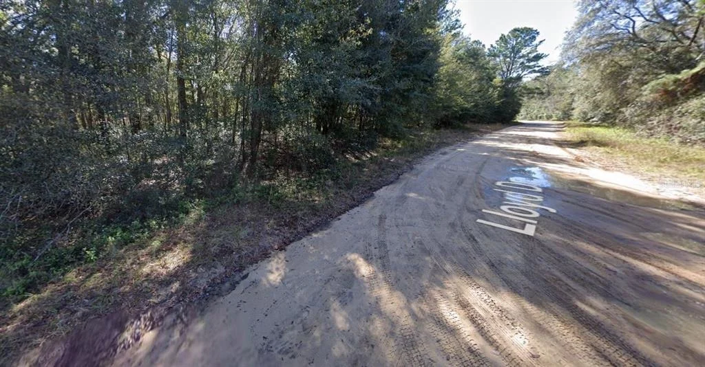 Photo of LLOYD DRIVE