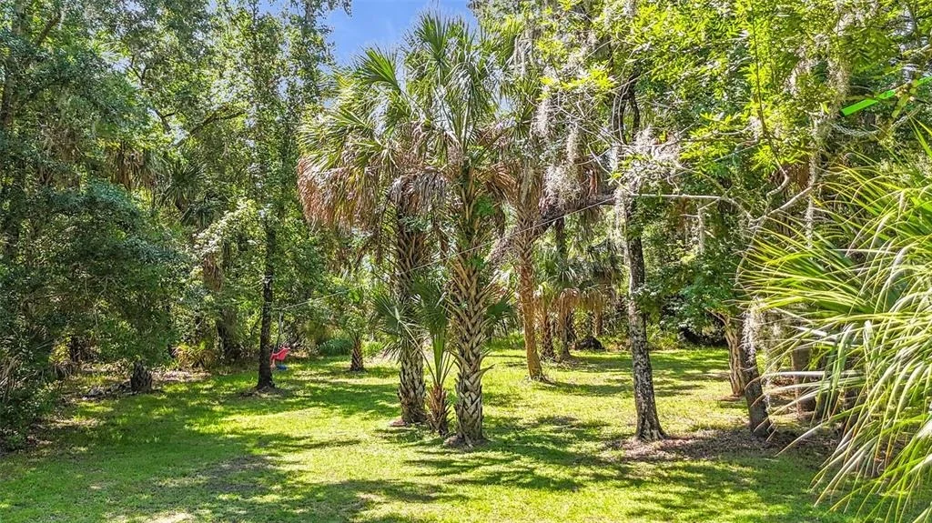 Photo of 273 GRIFFIN ROAD