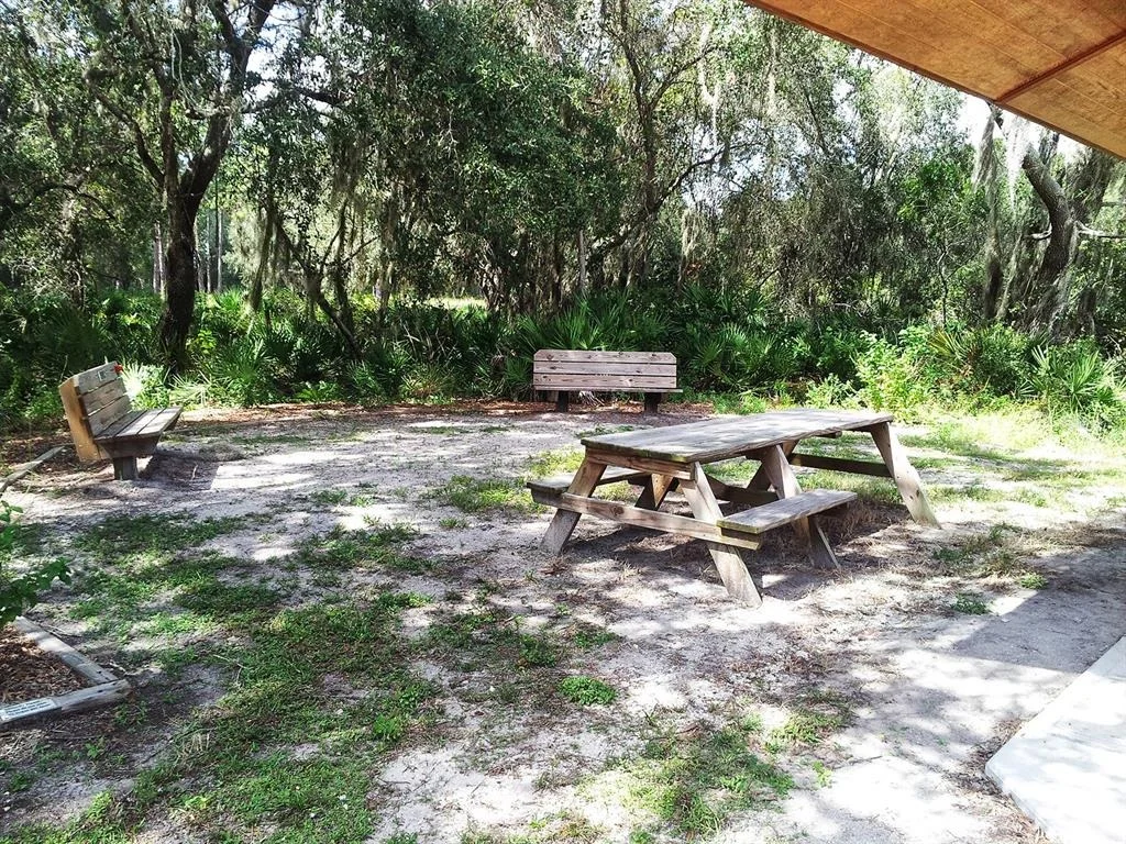 Photo of 335 PARK TRACE BOULEVARD