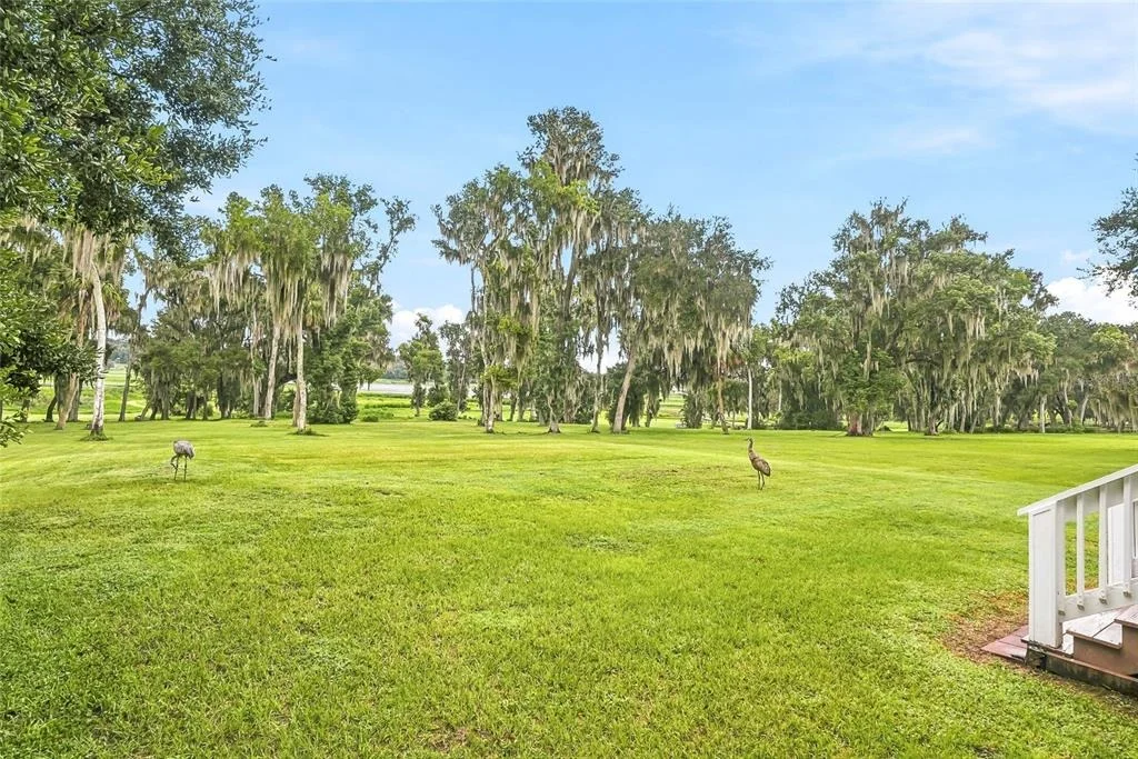 Photo of 18350 HANCOCK BLUFF ROAD