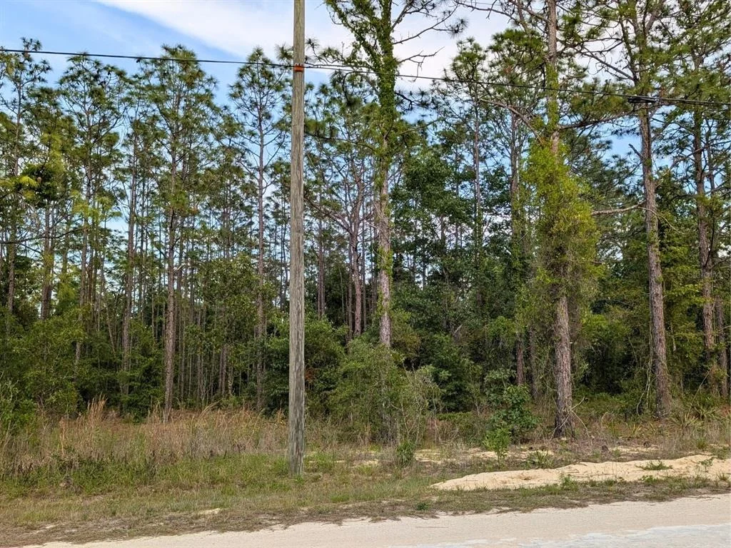 Photo of 15252 COOT ROAD