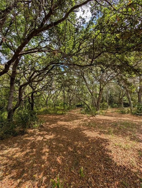Photo of 38521 ILEX TRAIL