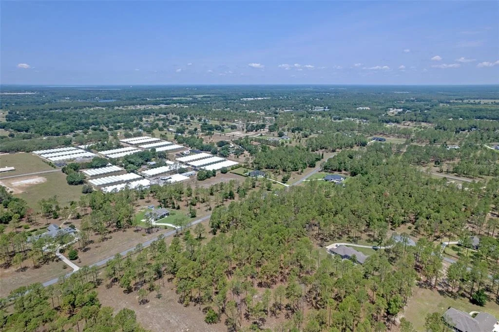 Photo of 35408 PINEGATE TRAIL