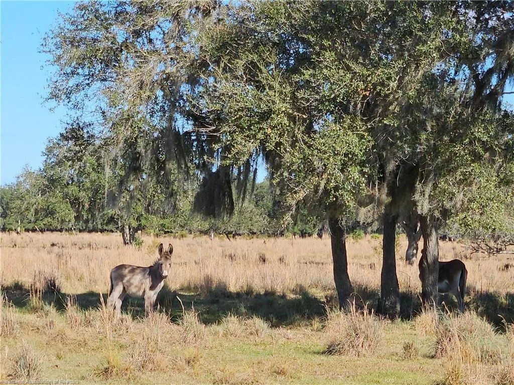 Photo of 320 GRIGSBY ROAD