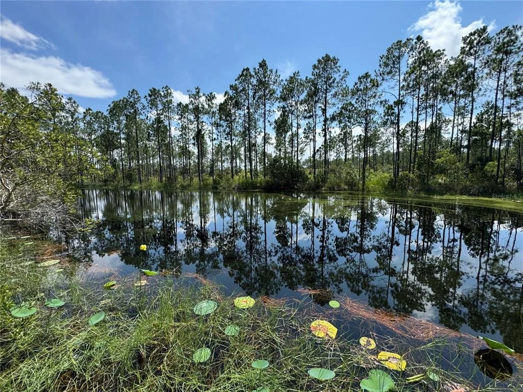 Photo of 4300 JUSTA ROAD