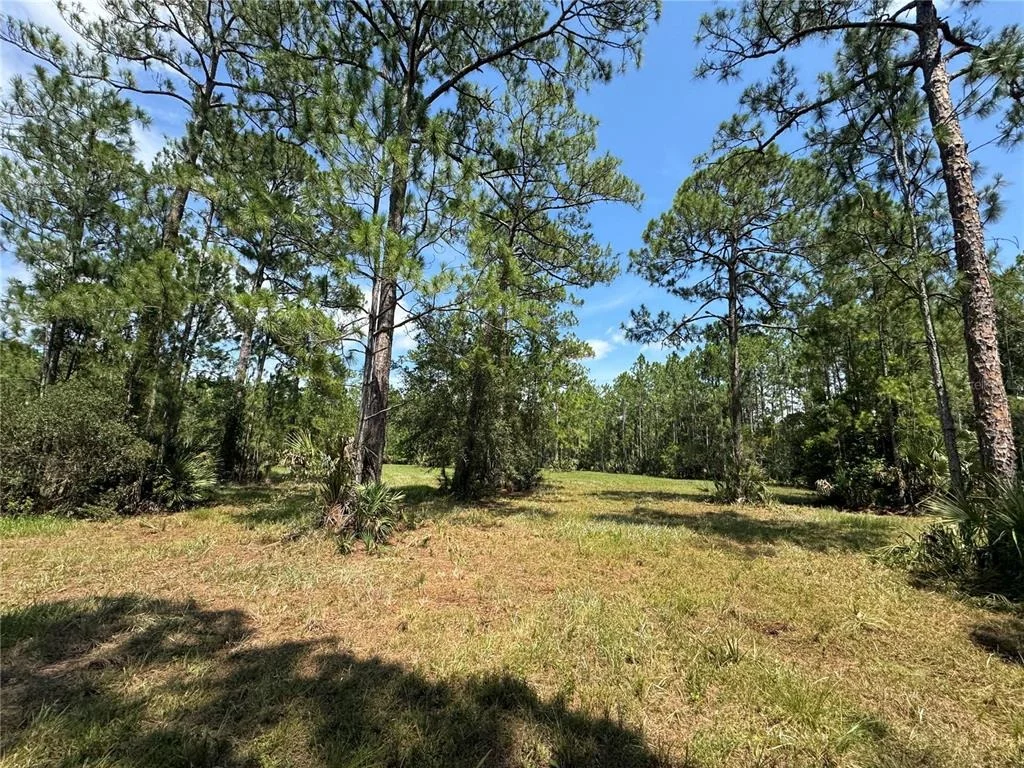 Photo of 4300 JUSTA ROAD