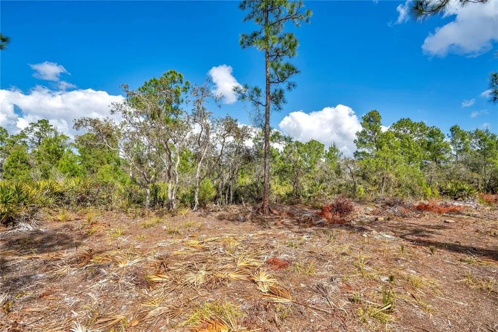 Photo of 4000 LOMONICO ROAD