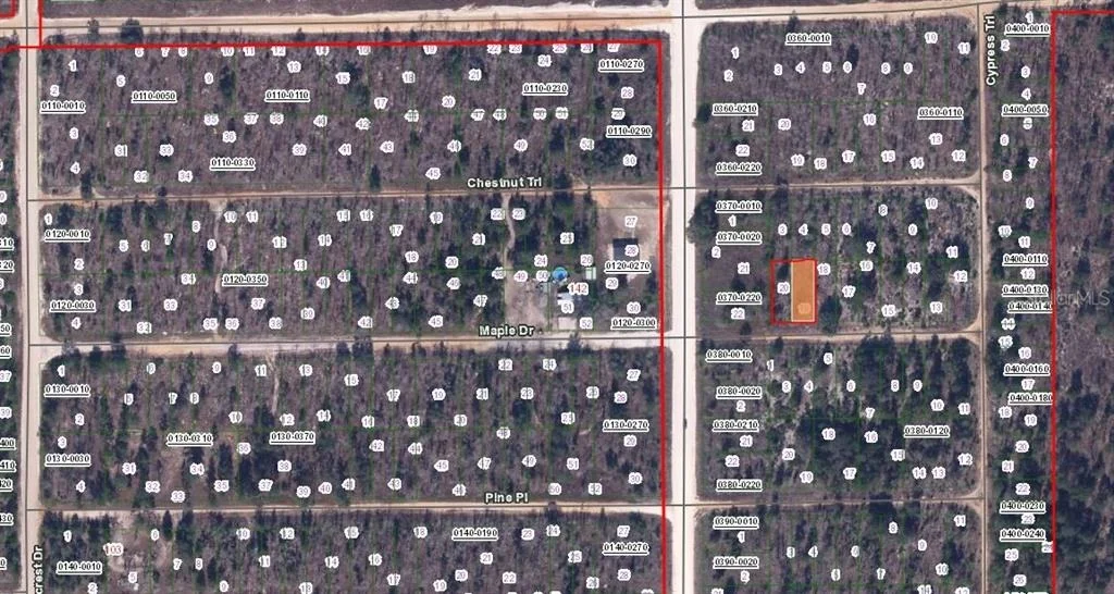 Photo of 00 MAPLE DRIVE