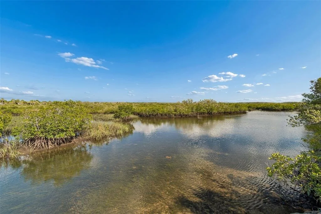 Photo of 10501 PINE ISLAND DRIVE