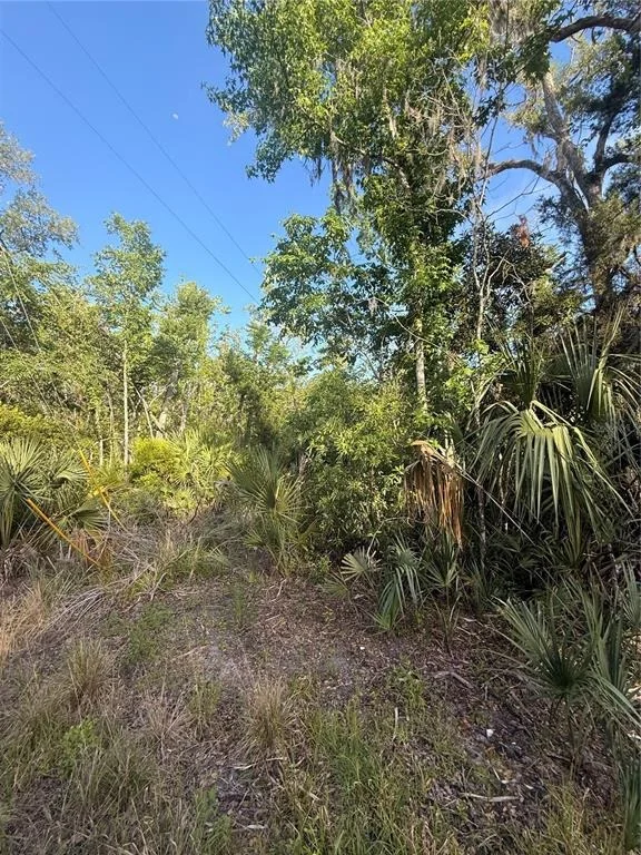 Photo of 10274 W OZELLO TRAIL