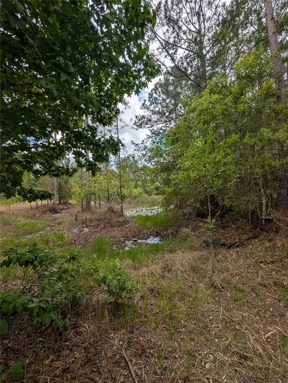 Photo of 38521 ILEX TRAIL
