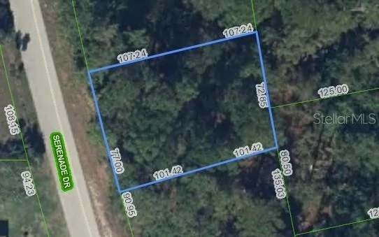 Photo of 205 SERENADE DRIVE