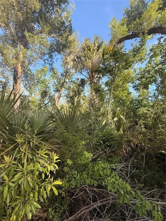 Photo of 10274 W OZELLO TRAIL