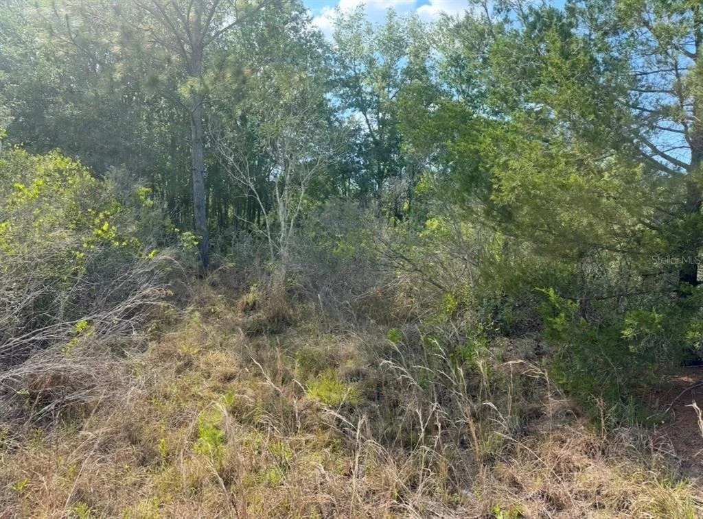 Photo of 18455 QUIET ROAD
