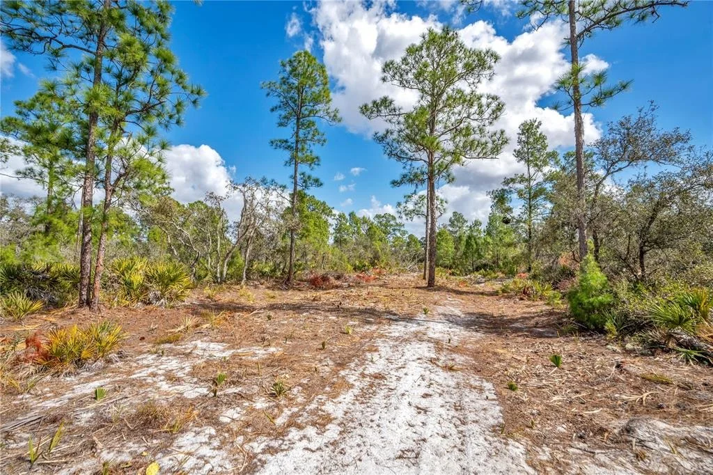 Photo of 4000 LOMONICO ROAD