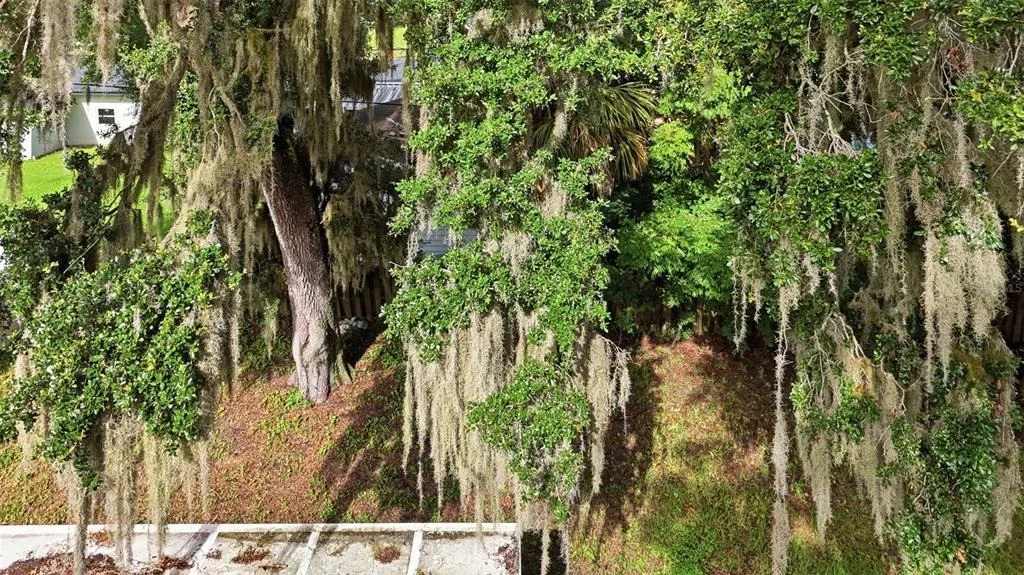 Photo of 3128 MANGO TREE DRIVE