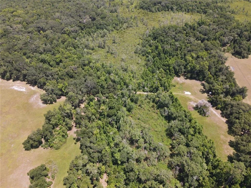 Photo of 11804 SE COUNTY ROAD 234