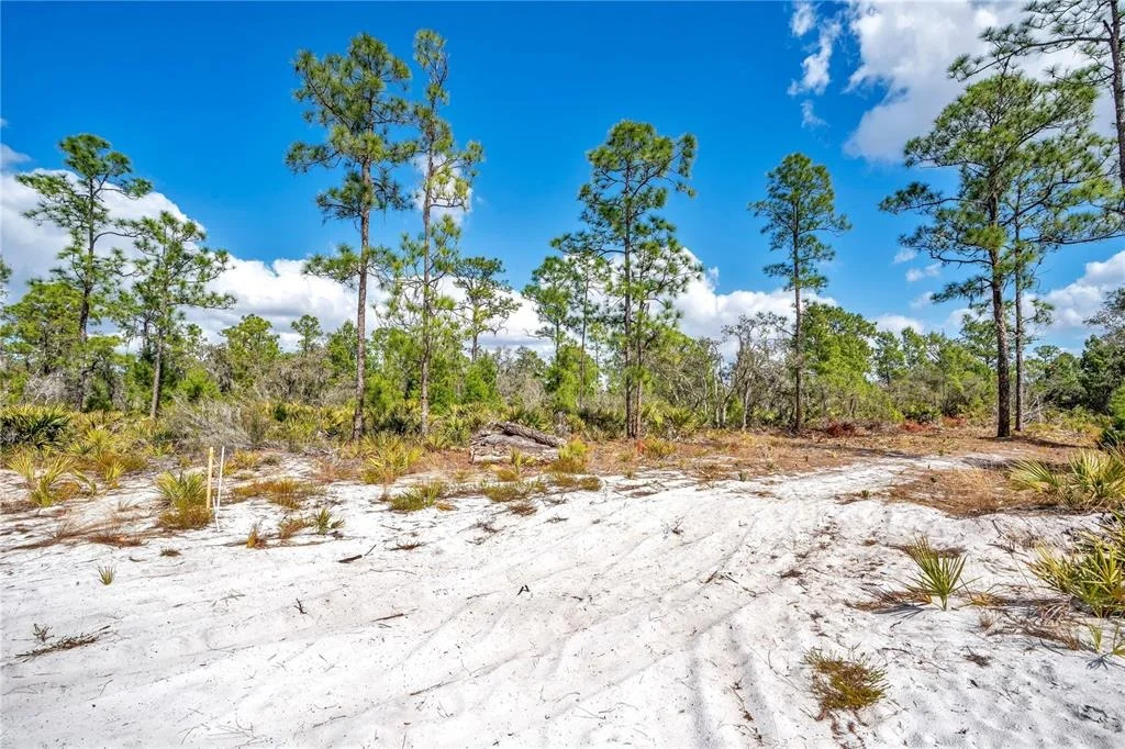 Photo of 4000 LOMONICO ROAD