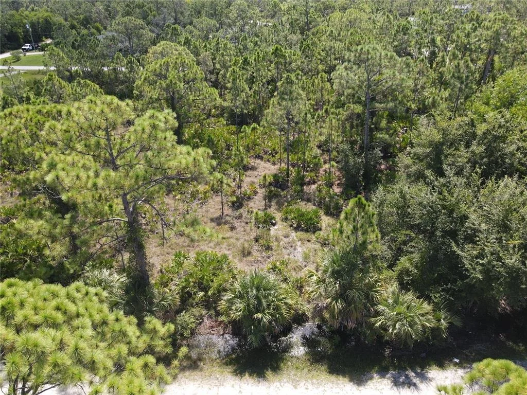 Photo of 12260 ESCUELA DRIVE