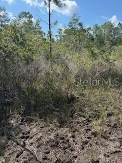 Photo of 37610 OAKLEE ROAD