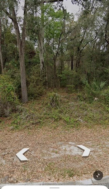 Photo of 101 PINEY WOODS ROAD