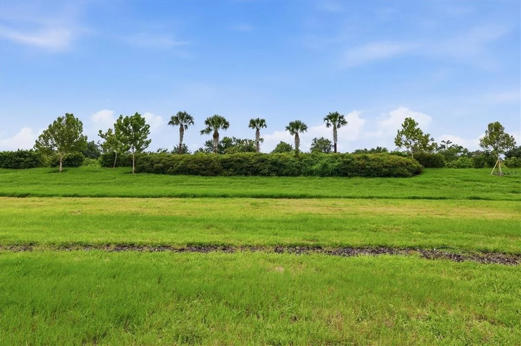 Photo of 24173 SPARTINA DRIVE