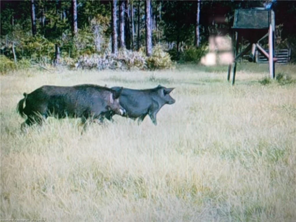 Photo of 17470 COUNTY ROAD 731