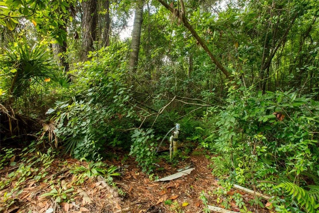 Photo of 5165 CHICORY CIRCLE