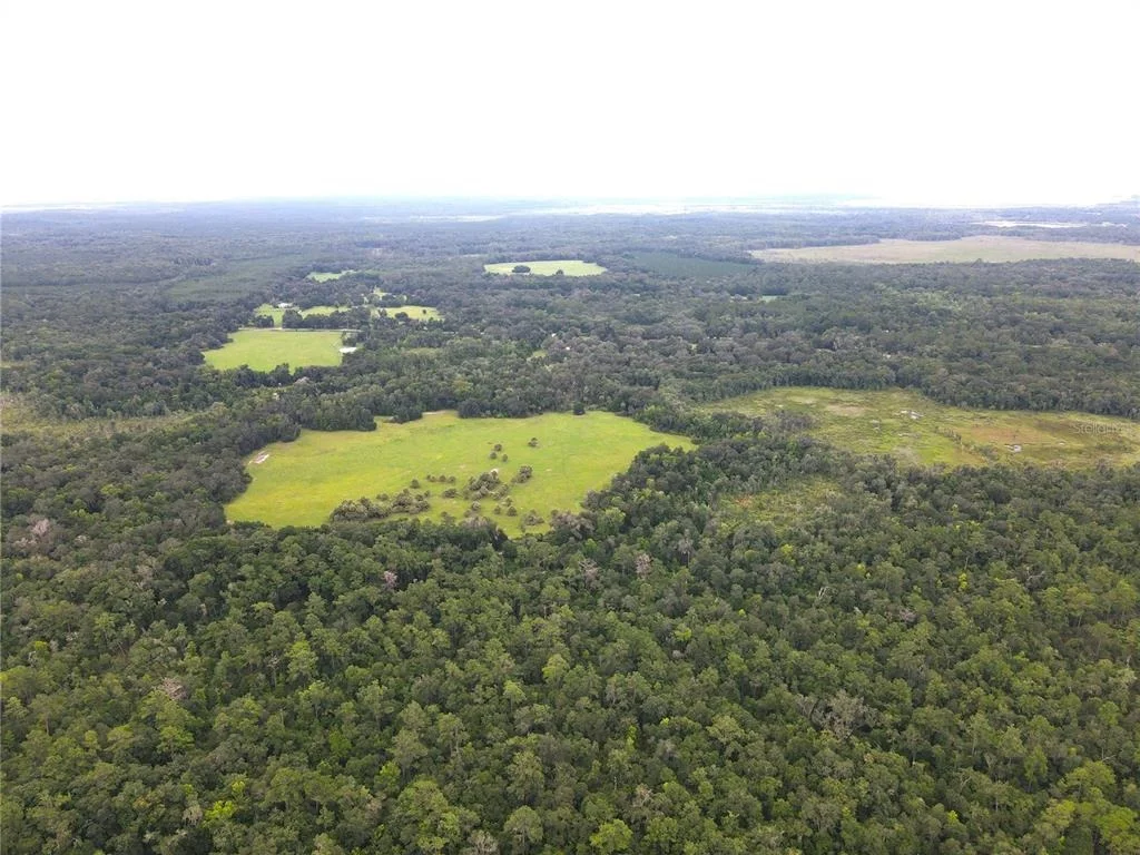 Photo of 11816 SE COUNTY ROAD 234