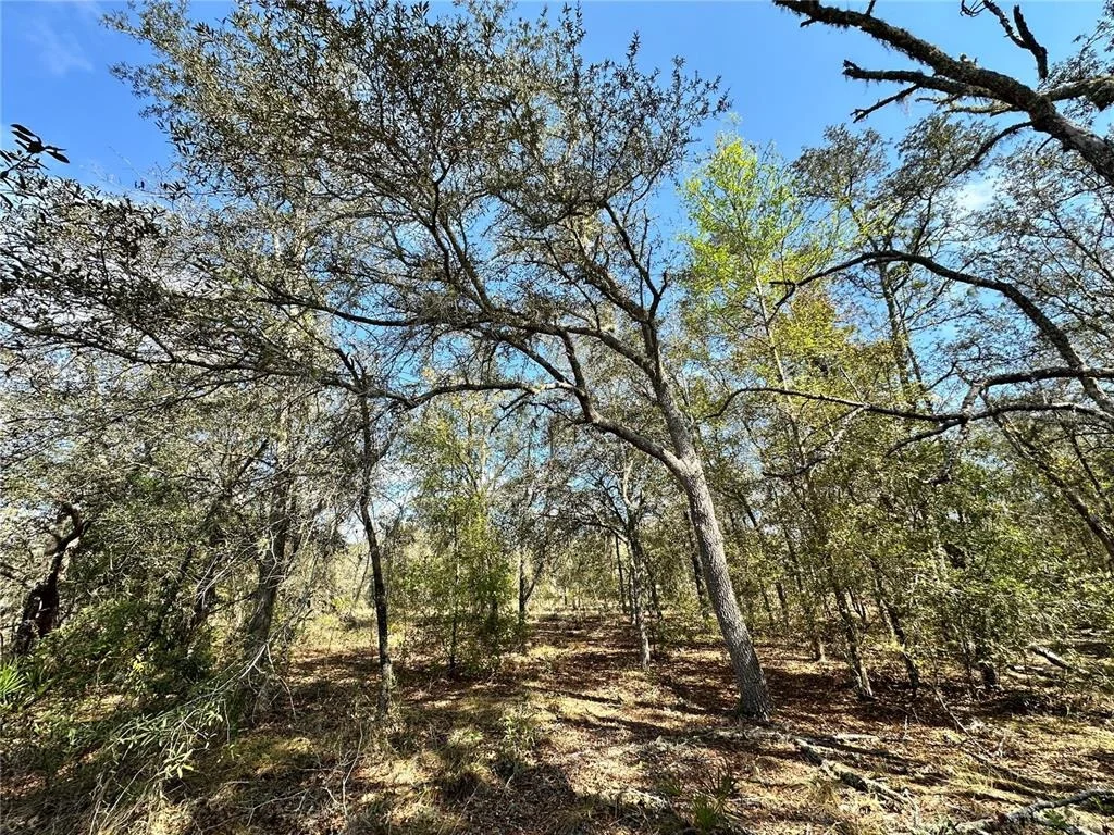 Photo of TBD NE 68TH PLACE