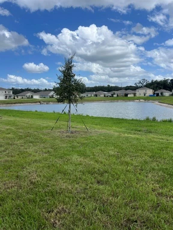 Photo of 3329 SPINEYWOOD DRIVE